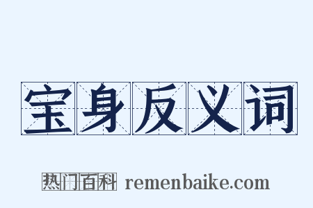 宝身反义词是什么意思的图片
